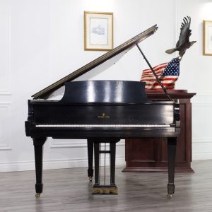 PRE-OWNED Steinway M ES | 331166