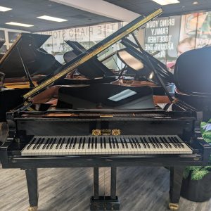 Pre-Owned Gebr. Perzina Schwerin 187 EP | 0301789