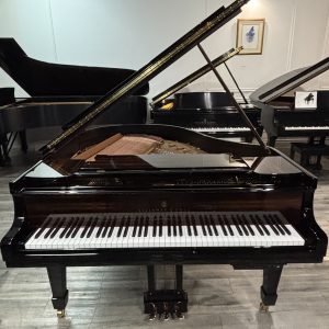 Steinway S Grand EP Onyx Duet w/PNO4  | 285092