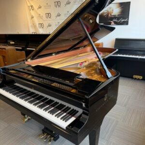 Steinway Hamburg Model D EP | 608xxx